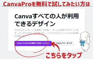 CanvaProを無料で試す